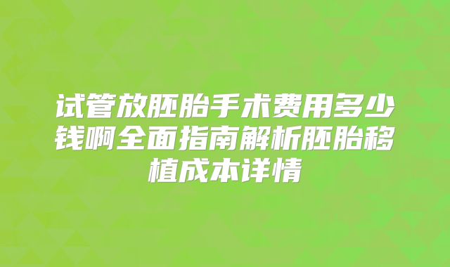 试管放胚胎手术费用多少钱啊全面指南解析胚胎移植成本详情