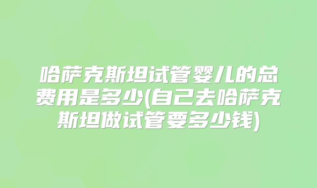 哈萨克斯坦试管婴儿的总费用是多少(自己去哈萨克斯坦做试管要多少钱)
