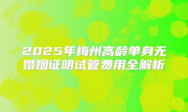 2025年梅州高龄单身无婚姻证明试管费用全解析
