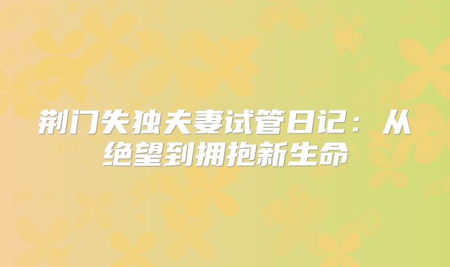 荆门失独夫妻试管日记:从绝望到拥抱新生命
