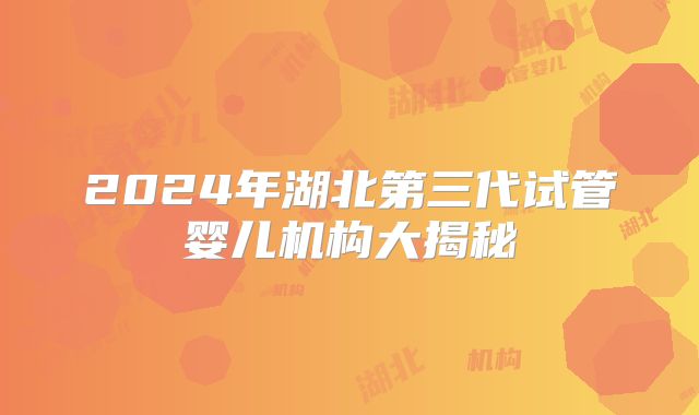 2024年湖北第三代试管婴儿机构大揭秘