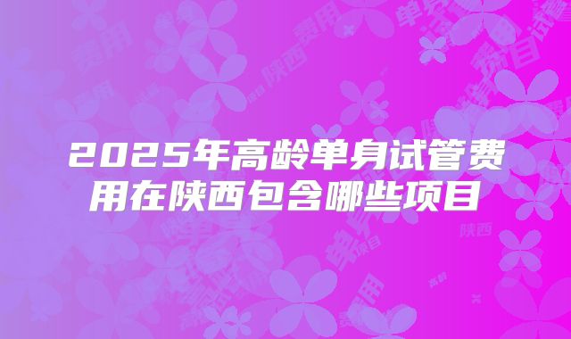 2025年高龄单身试管费用在陕西包含哪些项目
