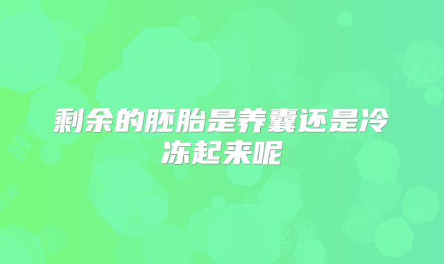 剩余的胚胎是养囊还是冷冻起来呢
