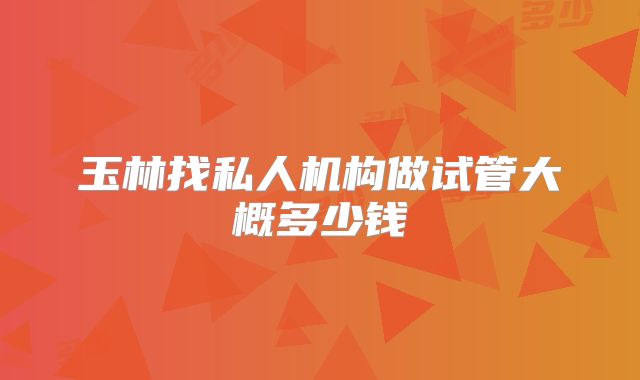玉林找私人机构做试管大概多少钱