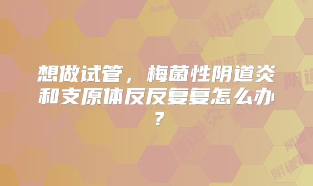 想做试管，梅菌性阴道炎和支原体反反复复怎么办？