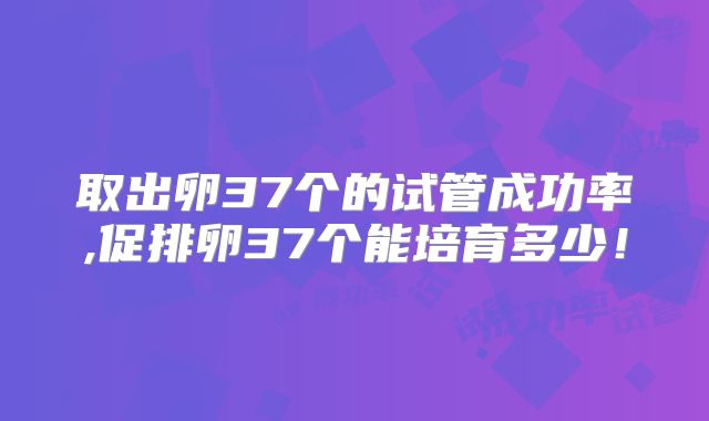 取出卵37个的试管成功率,促排卵37个能培育多少！
