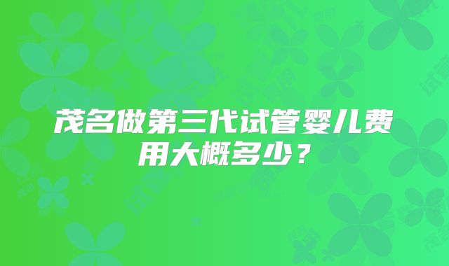 茂名做第三代试管婴儿费用大概多少？