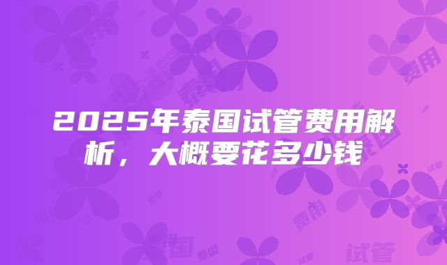 2025年泰国试管费用解析，大概要花多少钱