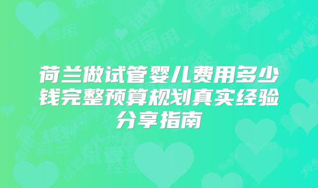 荷兰做试管婴儿费用多少钱完整预算规划真实经验分享指南