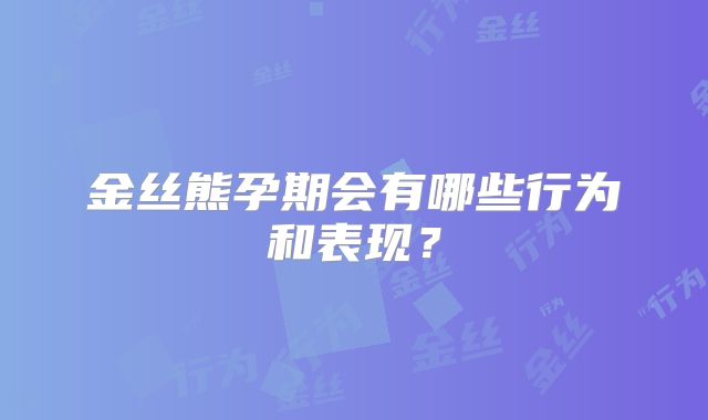 金丝熊孕期会有哪些行为和表现?