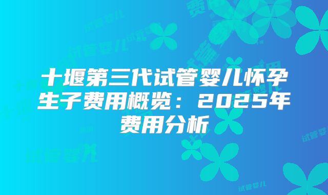 十堰第三代试管婴儿怀孕生子费用概览：2025年费用分析