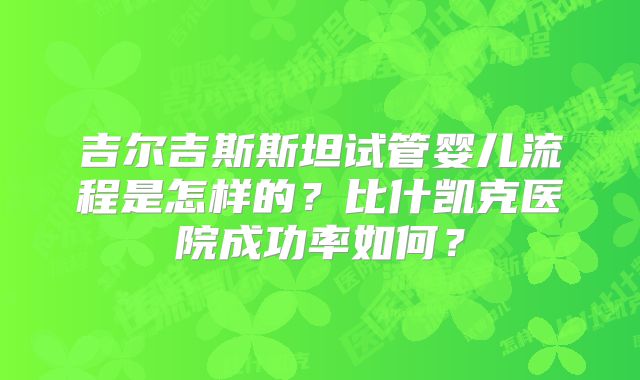 吉尔吉斯斯坦试管婴儿流程是怎样的？比什凯克医院成功率如何？