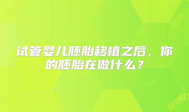 试管婴儿胚胎移植之后，你的胚胎在做什么？