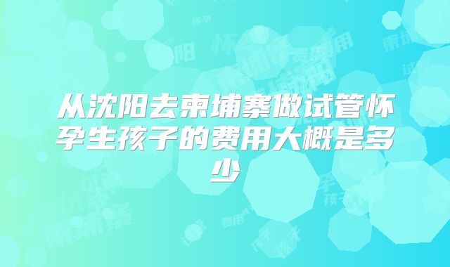 从沈阳去柬埔寨做试管怀孕生孩子的费用大概是多少