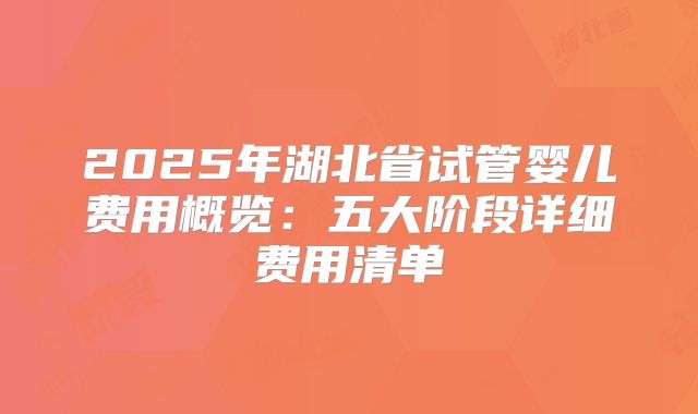 2025年湖北省试管婴儿费用概览：五大阶段详细费用清单