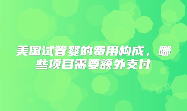美国试管婴的费用构成，哪些项目需要额外支付