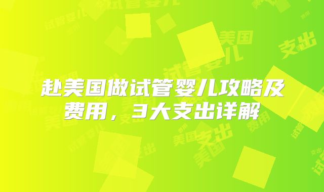 赴美国做试管婴儿攻略及费用,3大支出详解