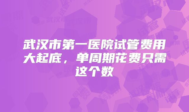 武汉市第一医院试管费用大起底，单周期花费只需这个数