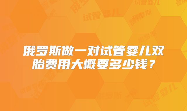 俄罗斯做一对试管婴儿双胎费用大概要多少钱？