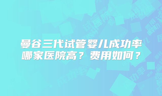 曼谷三代试管婴儿成功率哪家医院高?费用如何?