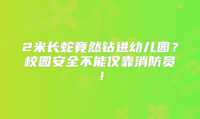 2米长蛇竟然钻进幼儿园？校园安全不能仅靠消防员！
