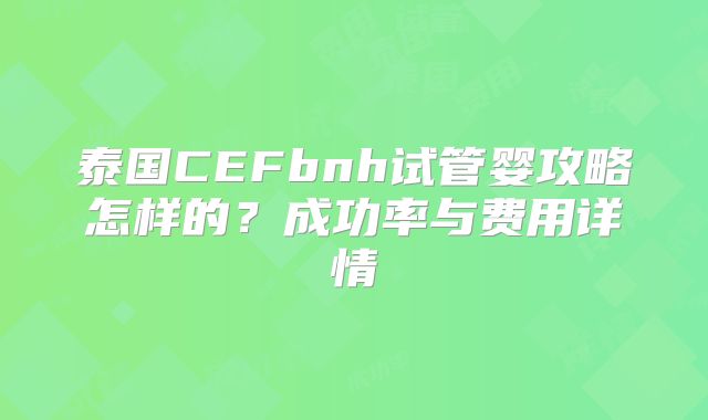 泰国CEFbnh试管婴攻略怎样的？成功率与费用详情