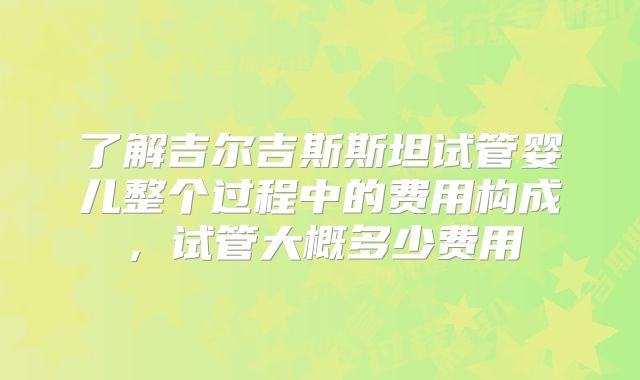 了解吉尔吉斯斯坦试管婴儿整个过程中的费用构成，试管大概多少费用