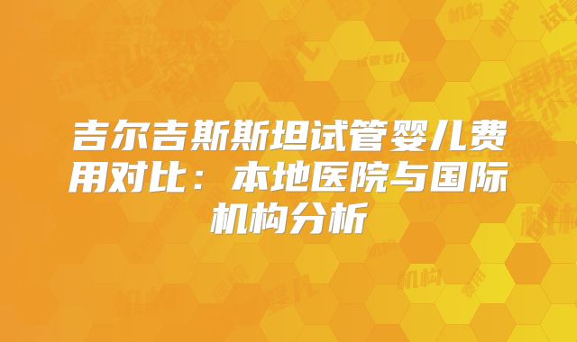 吉尔吉斯斯坦试管婴儿费用对比：本地医院与国际机构分析