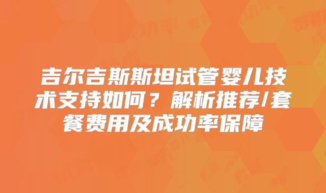 吉尔吉斯斯坦试管婴儿技术支持如何？解析推荐/套餐费用及成功率保障