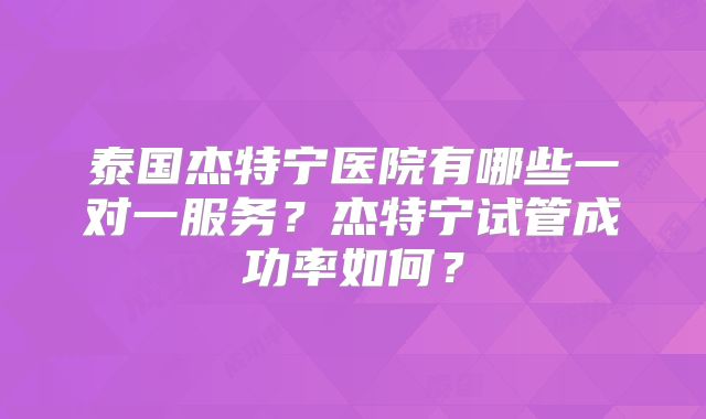 泰国杰特宁医院有哪些一对一服务?杰特宁试管成功率如何?