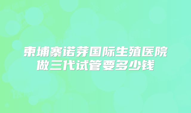 柬埔寨诺芽国际生殖医院做三代试管要多少钱