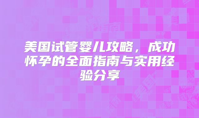 美国试管婴儿攻略,成功怀孕的全面指南与实用经验分享
