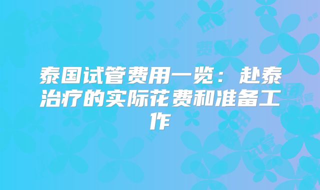 泰国试管费用一览：赴泰治疗的实际花费和准备工作