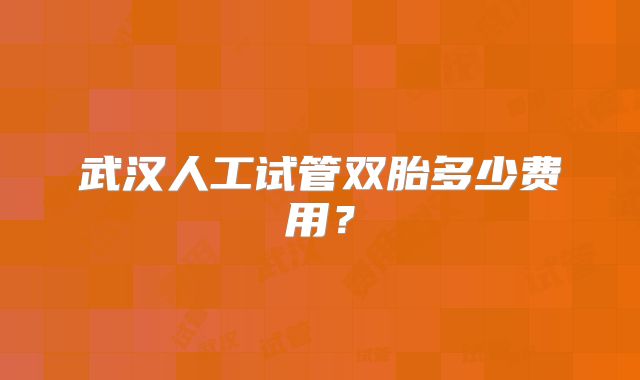 武汉人工试管双胎多少费用?