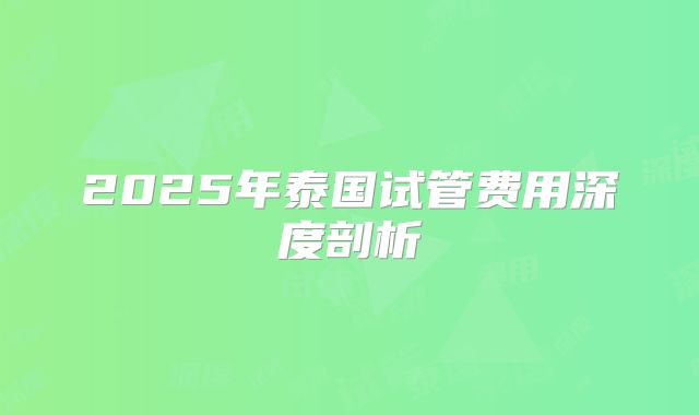 2025年泰国试管费用深度剖析