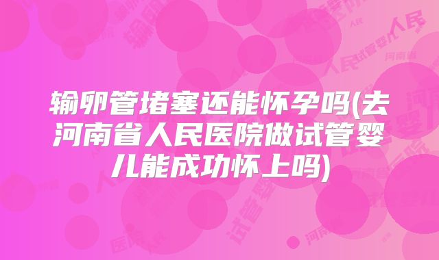 输卵管堵塞还能怀孕吗(去河南省人民医院做试管婴儿能成功怀上吗)