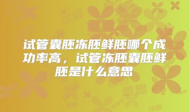 试管囊胚冻胚鲜胚哪个成功率高，试管冻胚囊胚鲜胚是什么意思