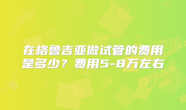 在格鲁吉亚做试管的费用是多少？费用5-8万左右