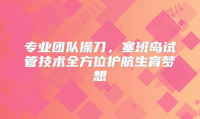 专业团队操刀，塞班岛试管技术全方位护航生育梦想