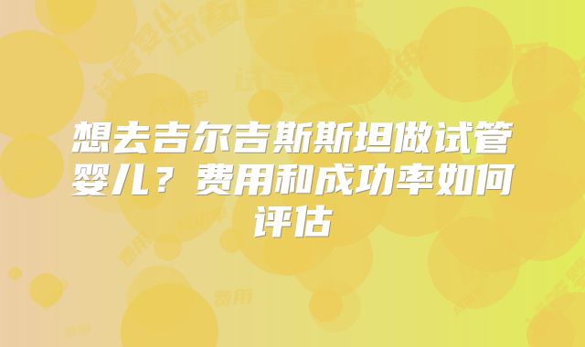 想去吉尔吉斯斯坦做试管婴儿?费用和成功率如何评估