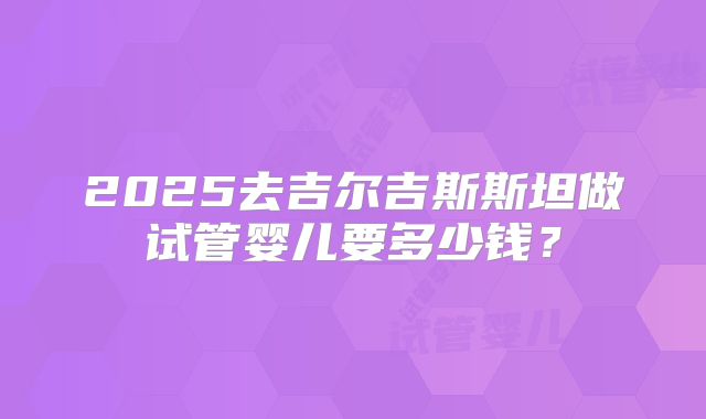 2025去吉尔吉斯斯坦做试管婴儿要多少钱？