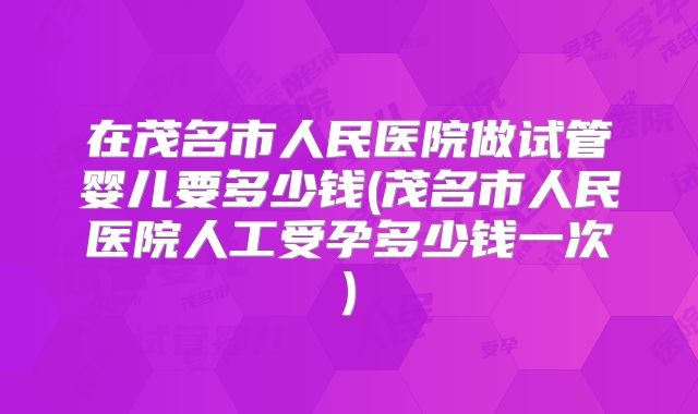 在茂名市人民医院做试管婴儿要多少钱(茂名市人民医院人工受孕多少钱一次)