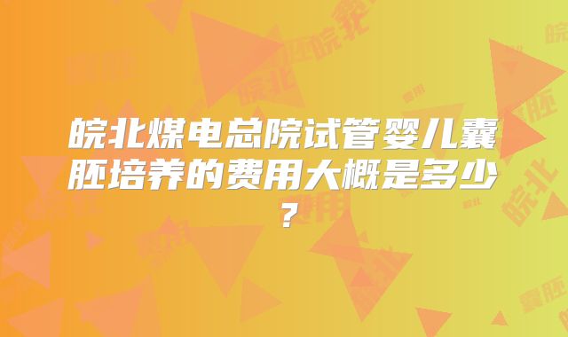 皖北煤电总院试管婴儿囊胚培养的费用大概是多少？