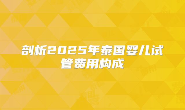 剖析2025年泰国婴儿试管费用构成