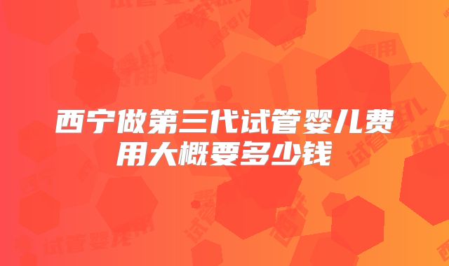西宁做第三代试管婴儿费用大概要多少钱