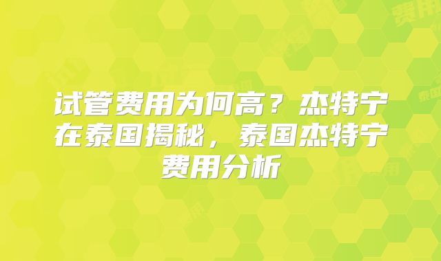 试管费用为何高？杰特宁在泰国揭秘，泰国杰特宁费用分析
