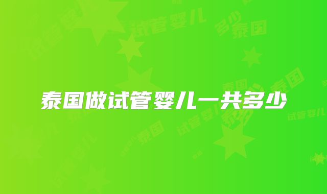 泰国做试管婴儿一共多少