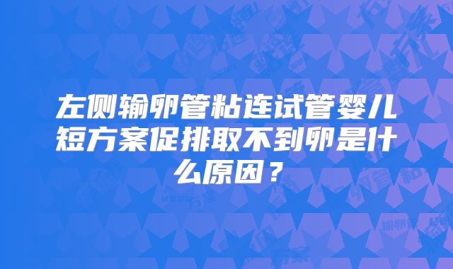 左侧输卵管粘连试管婴儿短方案促排取不到卵是什么原因？