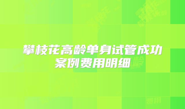 攀枝花高龄单身试管成功案例费用明细