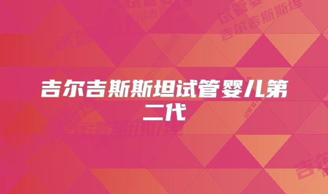 吉尔吉斯斯坦试管婴儿第二代